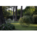 Struttura sferica per piante rampicanti – GLOBE Struttura sferica per piante rampicanti – GLOBE